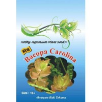 Bacopa Carolina Akvaryum Bitki Tohumu 16 Adet