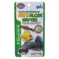 Hikari Tropical Mini Algae Wafers 22 gr