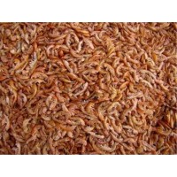 Kurutulmuş Gammarus 25 Gr