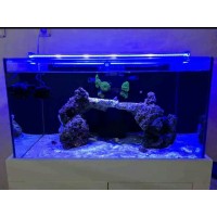 Akvaryum Led Aydınlatma Armatürü 60 cm (Mavi)