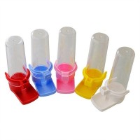 Muhabbet Kuşları İçin Suluk 5'li Paket