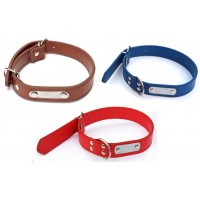 Köpekler için İsimlikli Boyun Tasması 65 cm*
