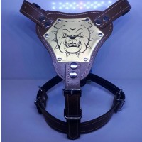 Gladyatör Köpek Göğüs Tasması Küçük Boy