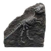 Hagen Marina Dekoratif Fosil T-Rex