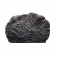 Marına Dekoratif Fosil Tıger Fısh (10,2x3x7 Cm)