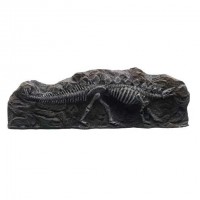 MARINA DEKORATİF FOSİL STEGOSAURUS (19x13x6,3 CM)