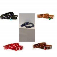 Taşlı Kedi Ve Yavru Köpek Boyun Tasması