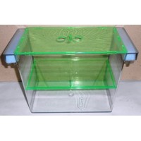 Dev Cichlid Yavruluğu