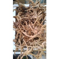 Spider Wood Çöl Kütüğü S Boy 10-15 cm