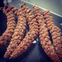 Kızıl Dal Darı 150 gr