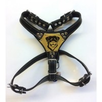 Gladyatör Köpek Göğüs Tasması Minik Boy 40 ile 65 cm