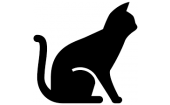 Kedi