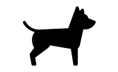 Köpek