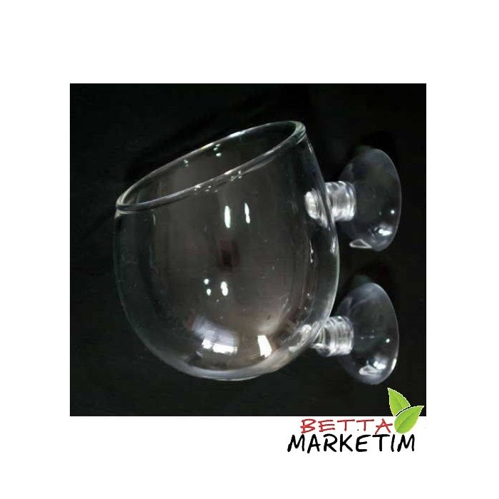 Akvaryum İçi Cam Bitki Saksısı