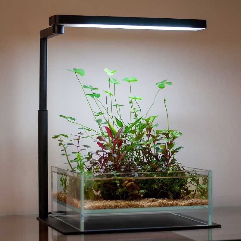 Chihiros [チヒロズ] C II RGBライト　アクアリウム　美品！ Led Aydınlatma Sistemleri - Chihiros - Chihiros C II RGB 3 in 1
