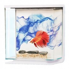 Marina Betta seti Dalga Desenli 3Lt  Yeni Model 2019