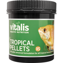 Vitalis - Tropical Pellets 60 gr Extra Small 1 mm SKT:10/2020