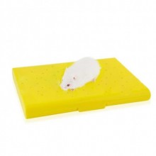 Carno Hamster Yatağı Termal Isıtıcılı