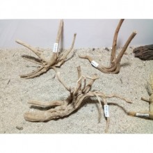 Spider Wood Çöl Kütüğü M Boy 15-25cm arası