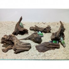 Mangrov Kütük M Boy (15-20 cm)