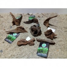 Mangrov Kütük XS Boy (7-10 cm)