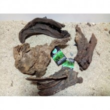 Mangrov Kütük L Boy (20-30cm)