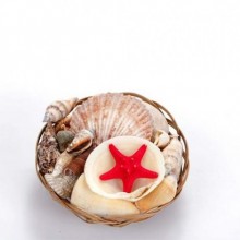 Yapay Mercan Sepeti 4 inç