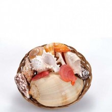 Yapay Mercan Sepeti 10 inç