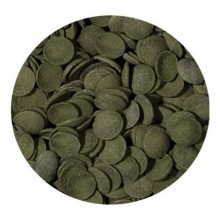 Tropical Green Algea Wafers 250gr Kovadan Bölme Yem
