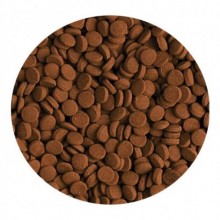 Tropical Carnivore 100gr Kovadan Bölme Yem