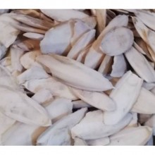 İşlenmiş Kalamar Kemiği 1 kg