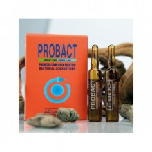 Equo PROBACT 1 x 5 ML Ampül PROBİYOTİK KOMPLEKS