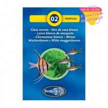 Frozen Food White Maquito Larves 100gr /Dondurulmuş Beyaz Cam Kurdu