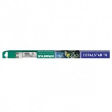 Sylvania Coralstar T5 18w ACTİNİC BLUE