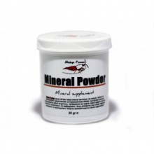 Shrimps Forever Mineral Powder 90gr Karides Minerali