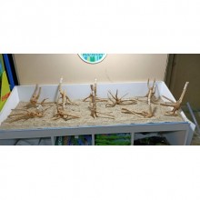 Spider Wood Nano Özel Tasarım Kütükler 