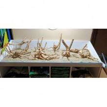 Spider Wood Çöl Kütüğü XL Boy 