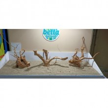 Red Moor Yati Kök / 2 Özel Tasarım Kütükler