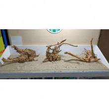 Red Moor Yati Kök / 3 Özel Tasarım Kütükler