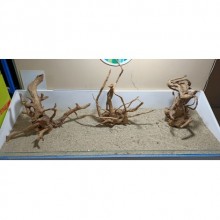 Red Moor Yati Kök / 4 Özel Tasarım Kütükler