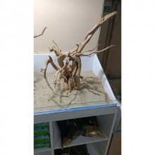 Red Moor Yati Kök / 5 Özel Tasarım Kütükler