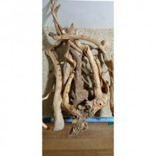 Red Moor Yati Kök Dalları / Kalın Dal Adet