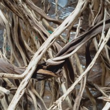 Ribbed Wood Tasarım Kütüğü 1kg 