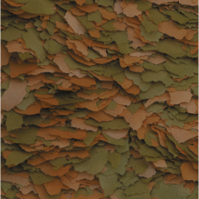 Tropical Cichlid Color XXL 100gr Kovadan Bölme