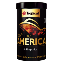 Tropical America Size L 100ml/60g