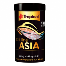 Tropical Soft Line Asia Size M 100ml/40g