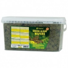 Tropical Green Algae Wafers 100gr Kovadan Bölme Yem