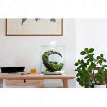 Aquael Shrimp Set Smart 20 Siyah / 25x25x30Cm Ölçülerinde Full Set