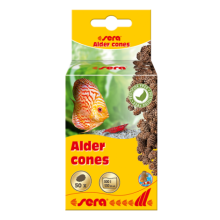 sera kızılağaç kozalağı (50 adet)