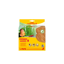 sera catappa yaprağı S 14 cm (10 adet)